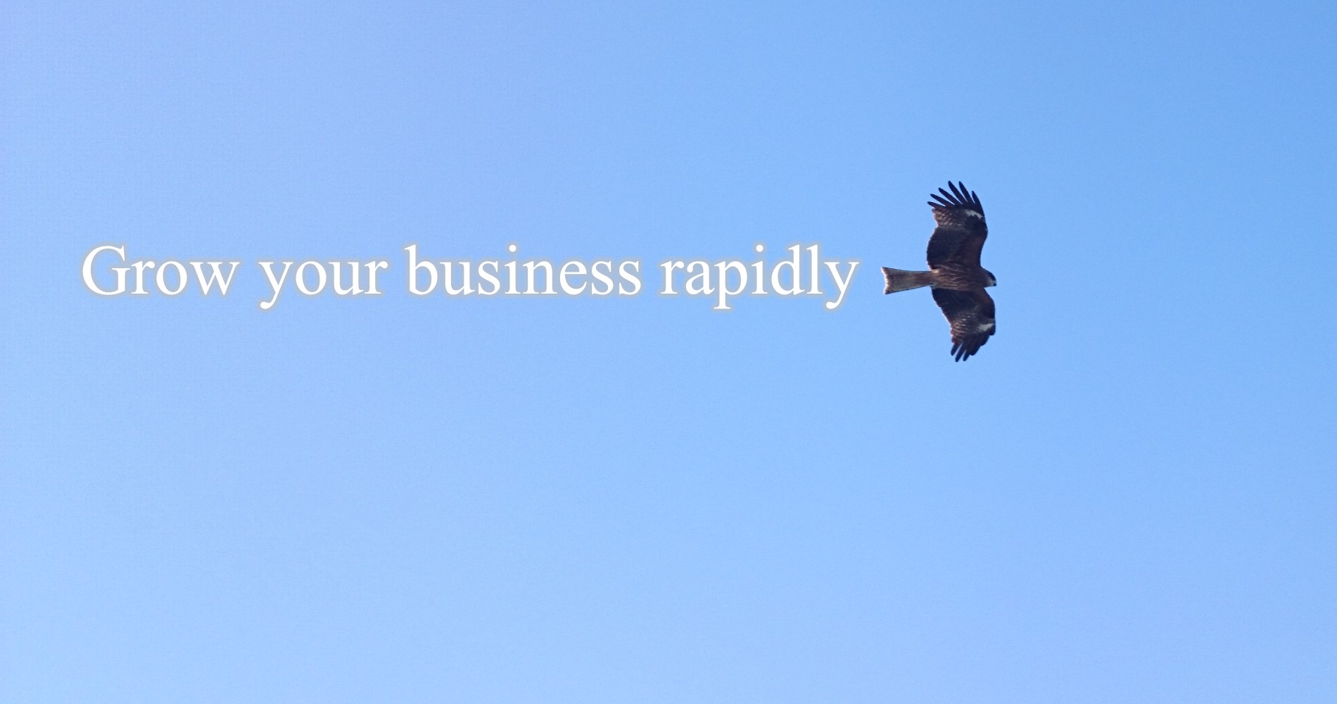 Grow your business rapidly. Photo: Eagle