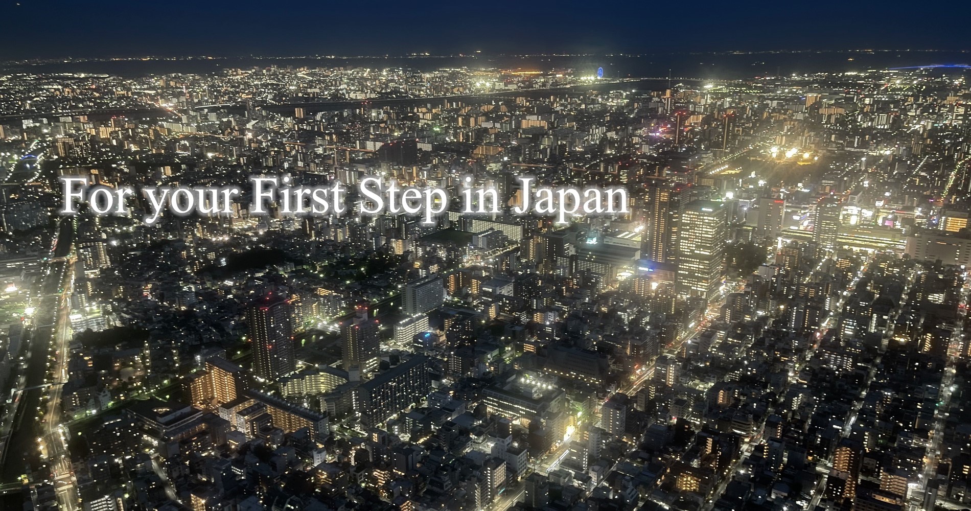For your First Step in Japan (Tokyo sky tree Night view)