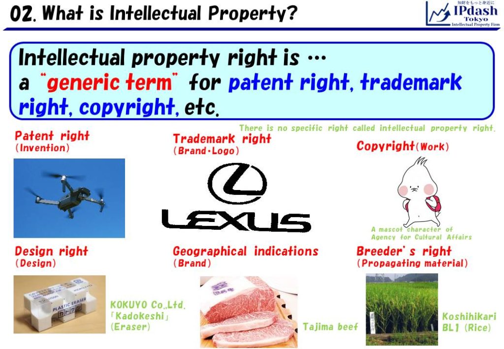 Intellectual property right is a generic term for patent right, design right, trademark right, copyright, geographcal indications, etc.