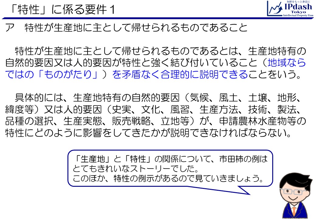 「特性」に係る要件１:ア　「特性が生産地に主として帰せられるものであること」とは、特性が生産地に主として帰せられるものであるとは、生産地特有の自然的要因又は人的要因が特性と強く結び付いていること（地域ならではの「ものがたり」）を矛盾なく合理的に説明できることをいう。具体的には、生産地特有の自然的要因（気候、風土、土壌、地形、緯度等）又は人的要因（史実、文化、風習、生産方法、技術、製法、品種の選択、生産実態、販売戦略、立地等）が、申請農林水産物等の特性にどのように影響をしてきたかが説明できなければならない。 「生産地」と「特性」の関係について、市田柿の例はとてもきれいなストーリーでした。このほか、特性の例示があるので見ていきましょう。