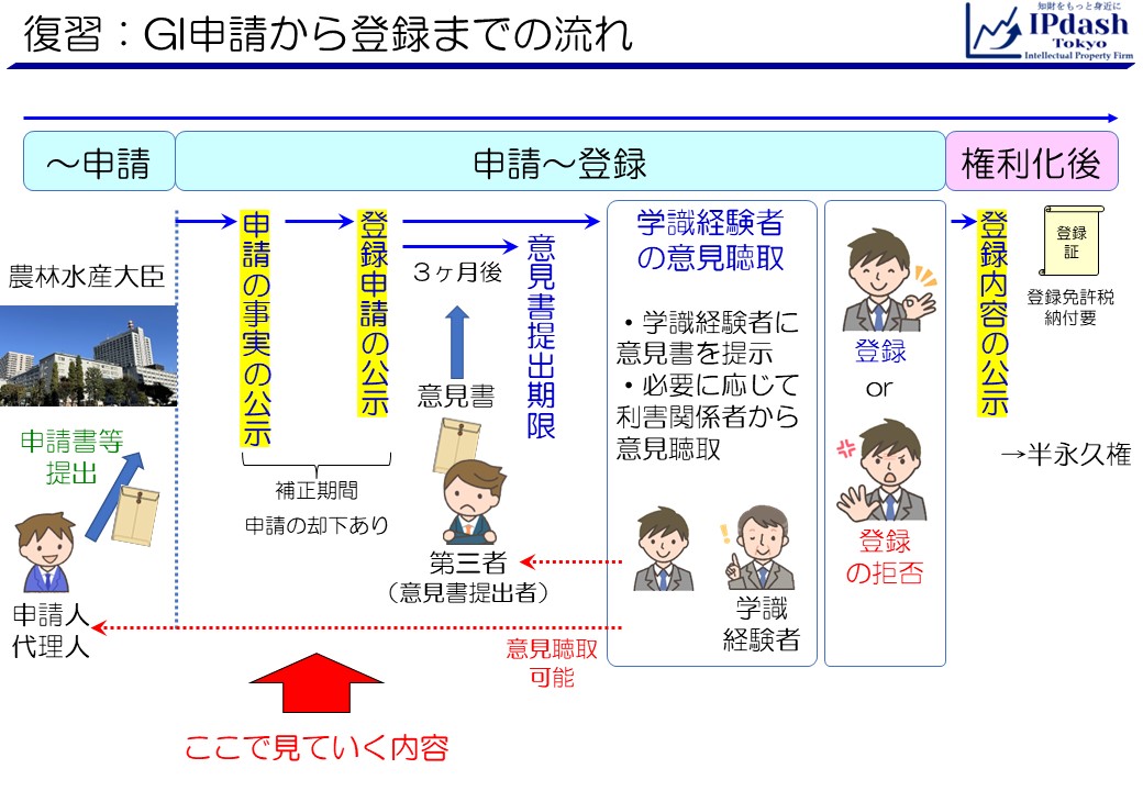 復習:GI申請から登録までの流れ／まず、申請の事実の公示と、登録申請の公示について見ていきます。