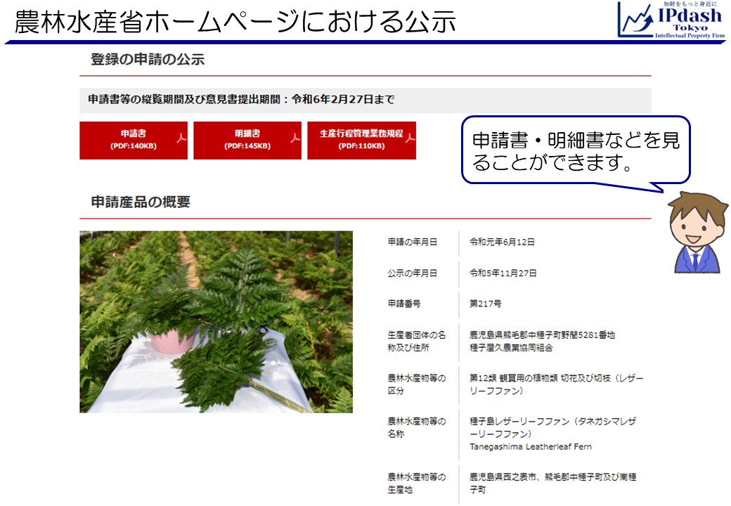 登録の申請の公示の詳細です。ここでは、申請書と、明細書に添付する明細書や生産工程管理業務規程を閲覧することができます。ここではレザーリーフファンを例に挙げています。